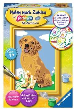 Malen nach Zahlen - Kleiner Golden Retriever