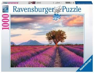 Puzzle - Lavendelfeld in der goldenen Stunde - 1000 Teile